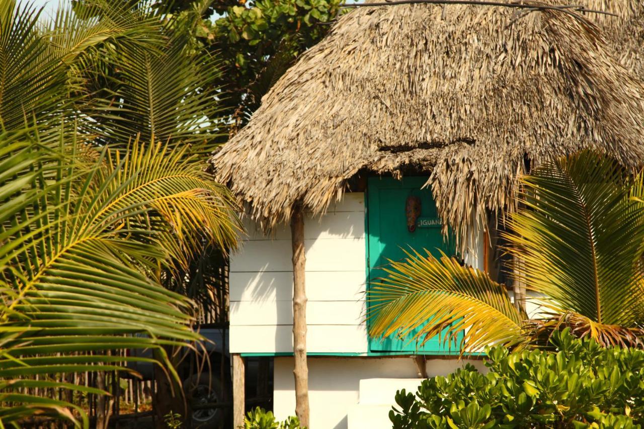 Cocori Lodge Paredon El Paredón Buena Vista المظهر الخارجي الصورة