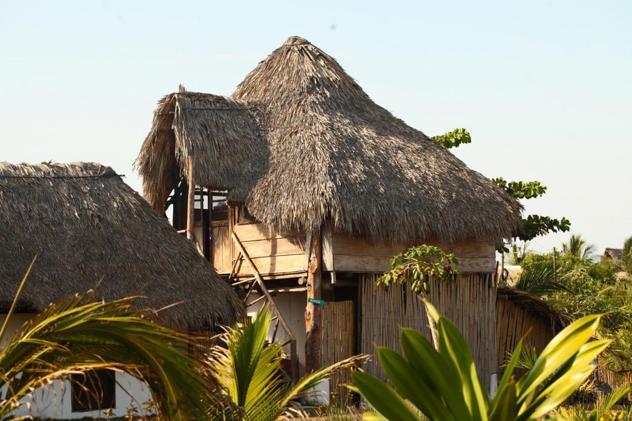 Cocori Lodge Paredon El Paredón Buena Vista المظهر الخارجي الصورة