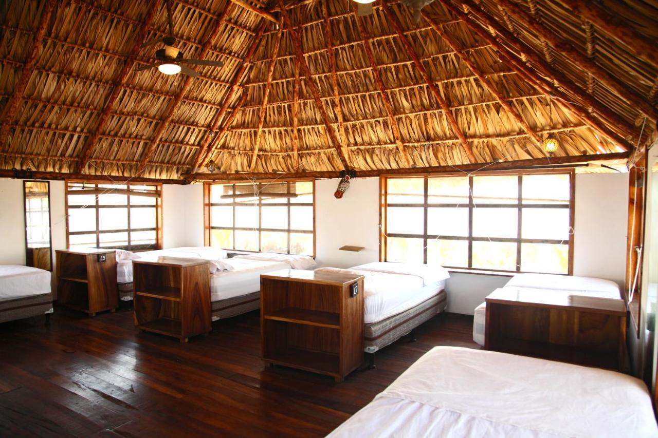 Cocori Lodge Paredon El Paredón Buena Vista المظهر الخارجي الصورة